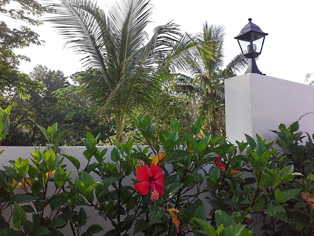 La Casa De Sergio Y Cristina Las Terrenas Exterior photo