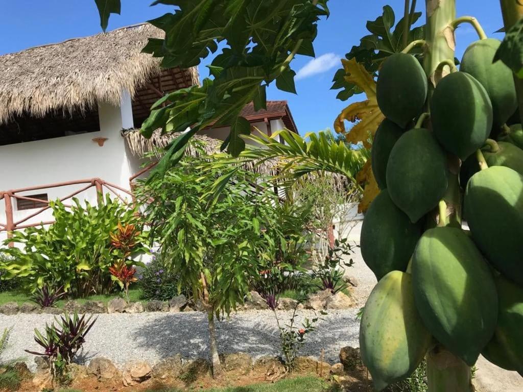 La Casa De Sergio Y Cristina Las Terrenas Exterior photo